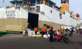 Jadwal Kapal Pelni KM Egon Februari 2023
