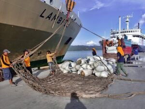 Jadwal Kapal Pelni KM Lambelu Maret 2022