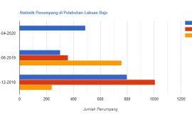 Statistik Penumpang Kapal Pelni di Pelabuhan Labuan Bajo