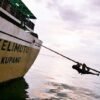 km kelimutu - jadwal dan tiket kapal laut pelni 2021