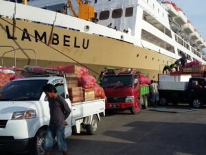 Jadwal Kapal Pelni KM Lambelu November 2021