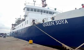 KM Queen Soya