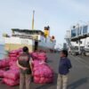 km egon - jadwal dan tiket kapal laut pelni 2022