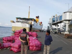 Jadwal Kapal Pelni KM Egon Maret 2021