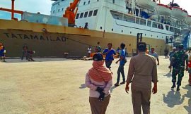 Jadwal Kapal Pelni KM Tatamailau Juli 2021