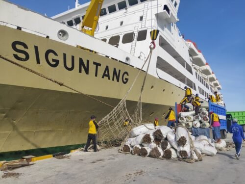 KM Bukit Siguntang - jadwal dan tiket kapal laut pelni balikpapan makassar