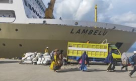 Jadwal Kapal Pelni KM Lambelu Oktober 2021