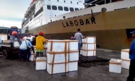 Jadwal Kapal Laut Jayapura – Manokwari Juli 2023