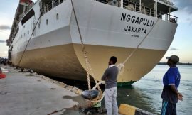 Jadwal Kapal Pelni KM Nggapulu Juni 2022