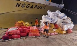 Jadwal Kapal Laut Makassar – Jakarta Juni 2023