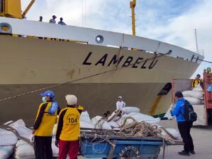 Jadwal Kapal Pelni KM Lambelu Februari 2023